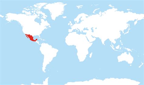 Image of MAP Mexico Map